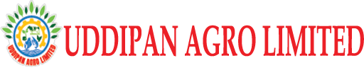 UAL_Logo
