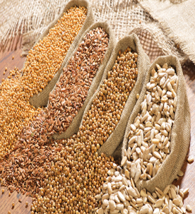 We manufacture and supply seeds. We have our own seeds manufacturing plant. We help produce the best quality seeds in Bangladesh.