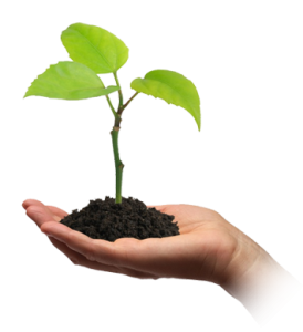 We manufacture and supply seeds. We have our own seeds manufacturing plant. We help produce the best quality seeds in Bangladesh.